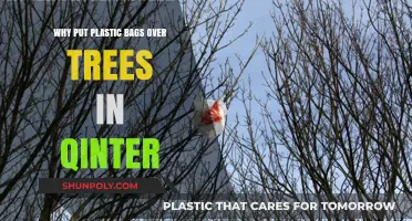 Protecting Trees in Winter: The Benefits of Plastic Bag Covers
