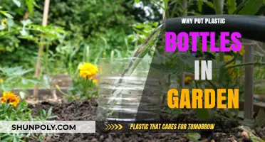 Eco-Friendly Gardening: Benefits of Using Plastic Bottles in Your Garden