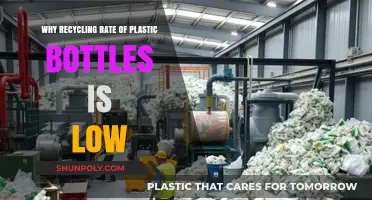 Low Plastic Bottle Recycling Rates: Causes and Solutions Explained