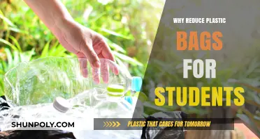 Cutting Plastic Bag Use: A Student's Guide to Eco-Friendly Choices