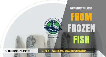 Eliminating Plastic Packaging from Frozen Fish: A Sustainable Seafood Solution