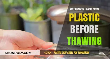 Avoid Plastic Contamination: Thaw Tilapia Safely by Removing Packaging First