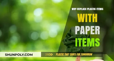 Paper Power: Plastic Alternatives for a Greener Future