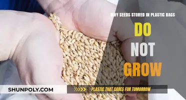 Plastic Bags Stifle Seed Growth: Uncovering the Hidden Culprits