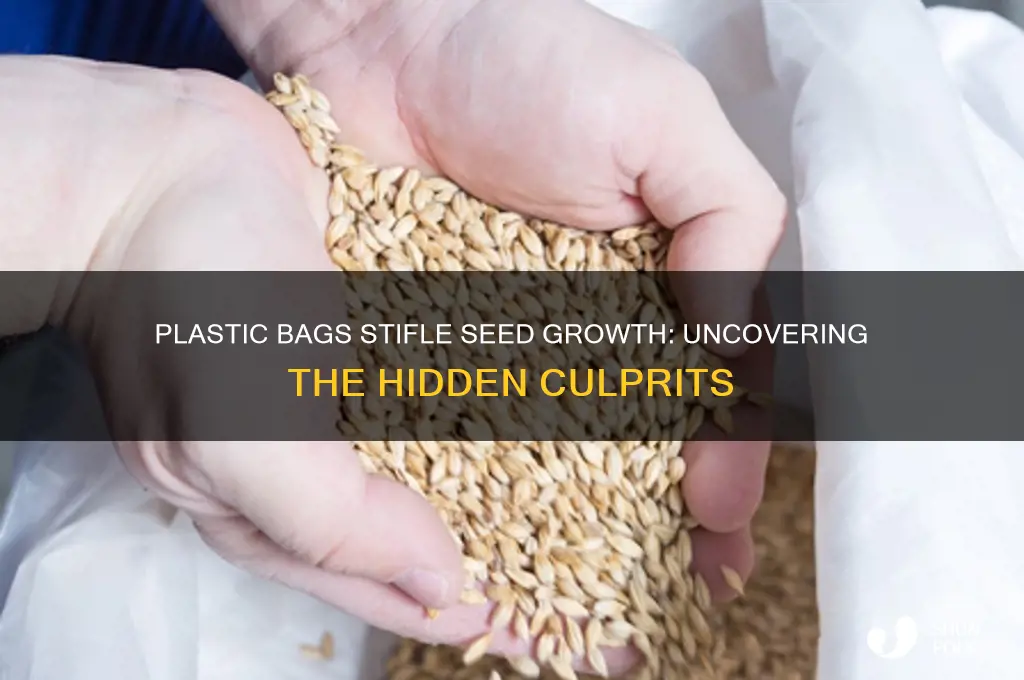 why seeds stored in plastic bags do not grow