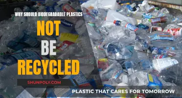 Biodegradable Plastics: Why Recycling May Not Be The Answer
