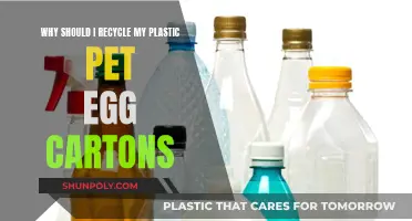 How Recycling Plastic Pet Egg Cartons Helps the Environment