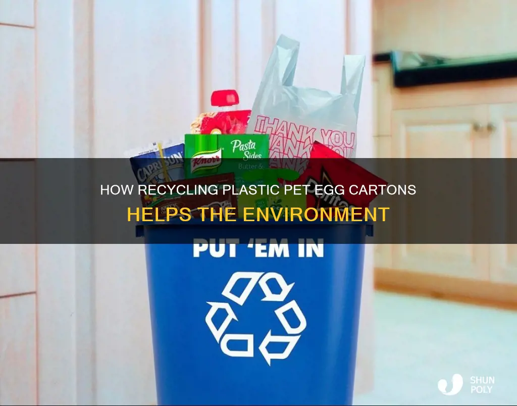 why should i recycle my plastic pet egg cartons