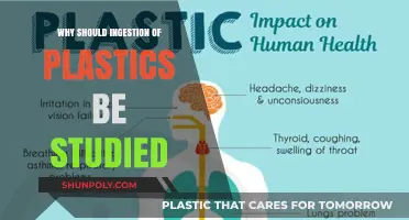 The Impact of Plastic Ingestion: A Necessary Study