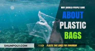 Plastic Bags: Why Your Choices Matter for Our Planet's Future