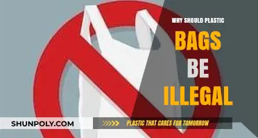 Banning Plastic Bags: Protecting Our Planet and Future Generations
