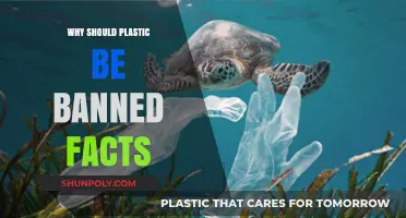 Plastic's Harmful Impact: Facts for a Ban