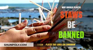 Plastic Straws: Harmful, Unnecessary, and Should Be Banned
