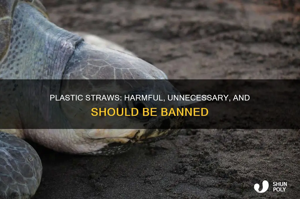why should plastic staws be banned