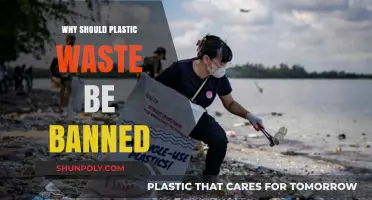 Plastic Waste: An Environmental Disaster That Needs Banning