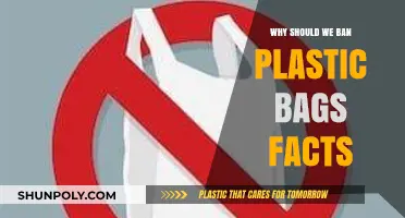 Ban Plastic Bags: Protecting Our Planet with Sustainable Alternatives