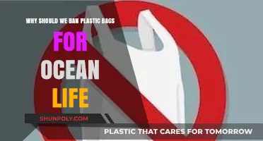 Protecting Ocean Life: The Urgent Need to Ban Plastic Bags