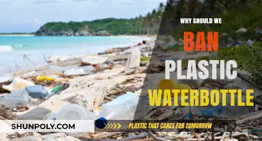 Plastic Water Bottles: Harmful, Unnecessary, and Expensive