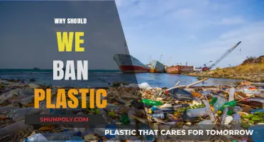 The Urgent Need to Ban Plastic: Protecting Our Planet for Future Generations