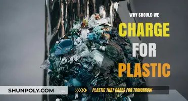 Charging for Plastic: A Necessary Step Towards Sustainability