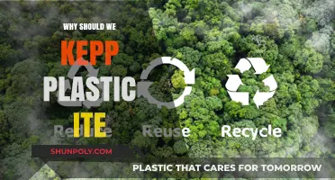 Plastic's Inevitable Future: Reuse, Recycle, and Rethink