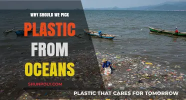 Saving Oceans: Picking Plastic, Saving Marine Life