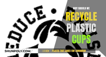The Green Impact of Recycling Plastic Cups