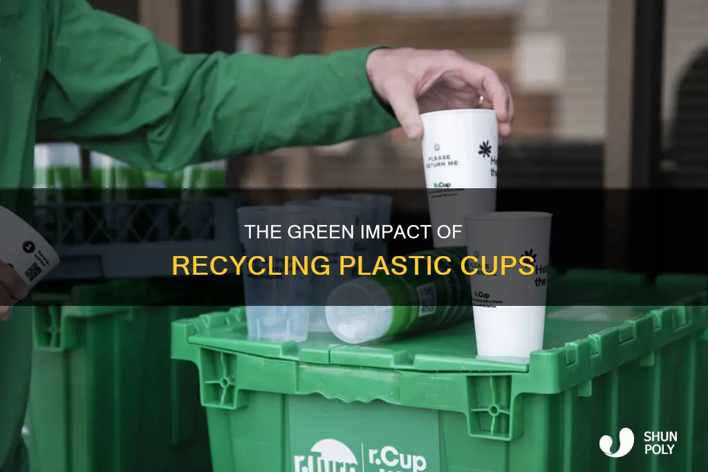 why should we recycle plastic cups