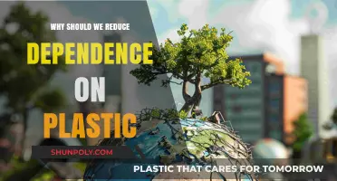 Reducing Plastic Dependence: Our Future, Our Priority
