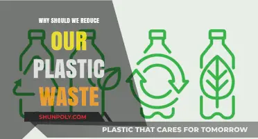 Reducing Plastic Waste: Our Planet's Future Depends on It