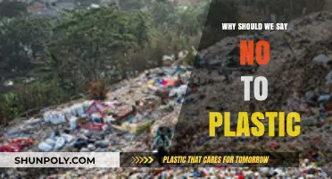 Plastic's Harmful Impact: Saying No to a Toxic Future