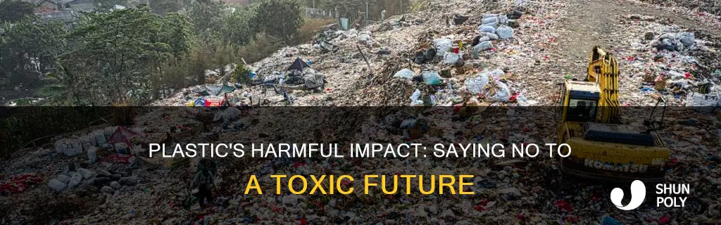 why should we say no to plastic