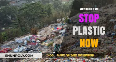 Plastic's Toxic Legacy: Stop Now, Save Our Future