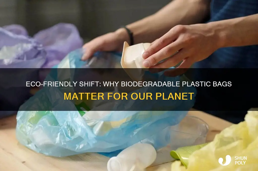 why should we use biodegradable plastic bags