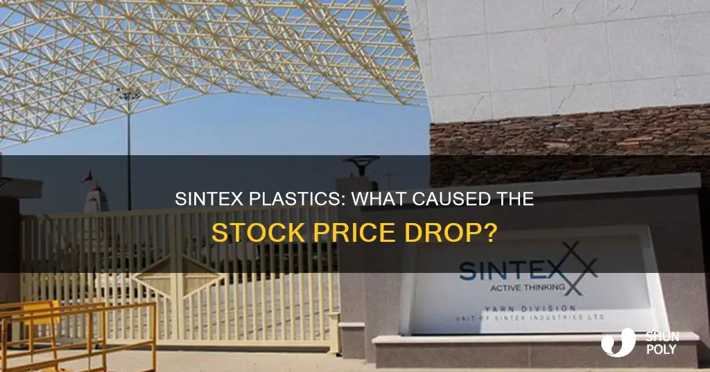 why sintex plastic share is falling
