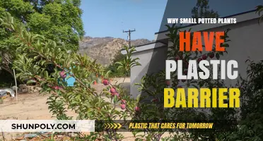 Small Potted Plants: Plastic Barrier, Big Benefits
