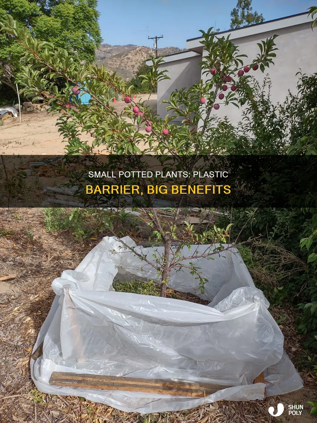 why small potted plants have plastic barrier