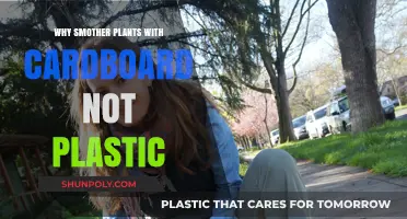 Cardboard Smothering: Eco-Friendly Weed Control