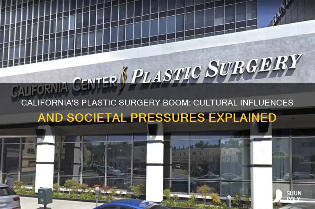 why so much plastic surgery in ca