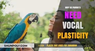 Parrots' Vocal Plasticity: A Social Skill Advantage