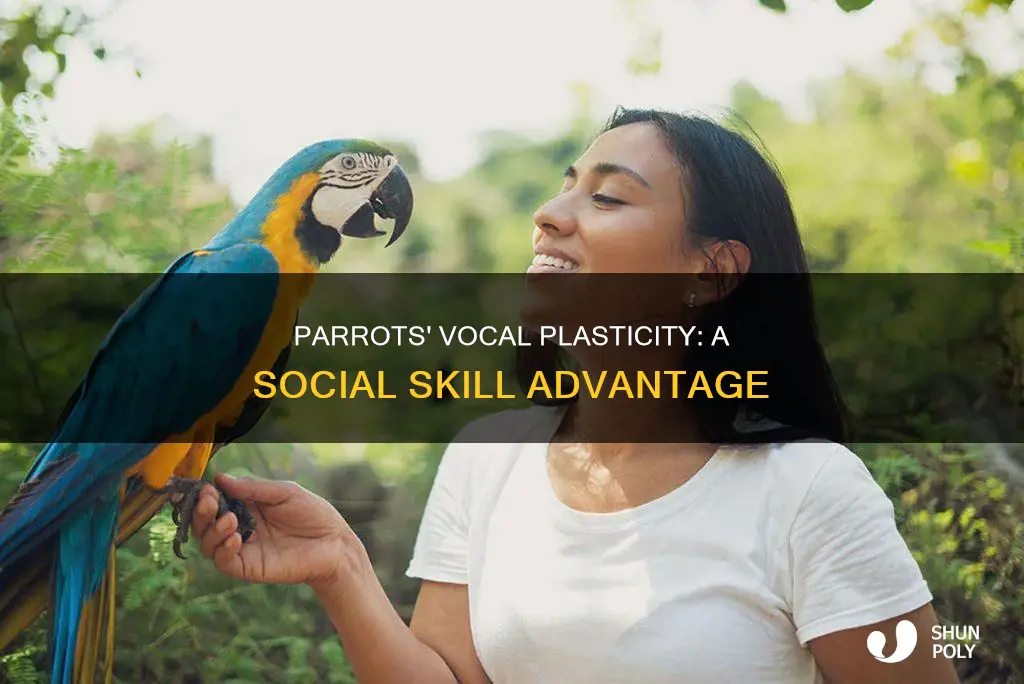 why so parrots need vocal plasticity