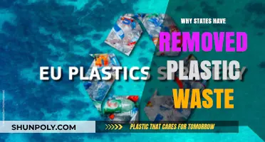 Why States Are Banning Plastic Waste: Environmental Impact and Solutions