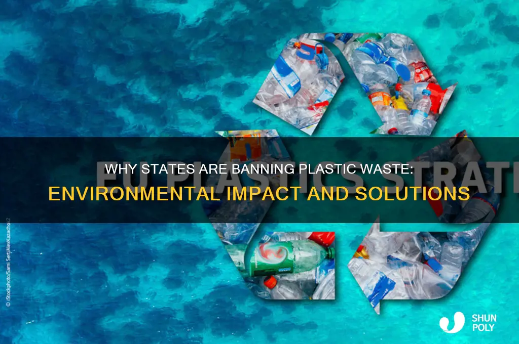 why states have removed plastic waste