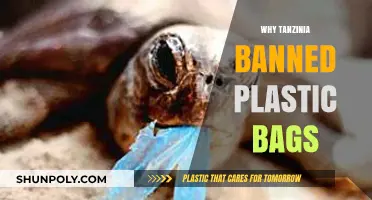 Tanzania's Bold Move: Banning Plastic Bags for a Greener Future