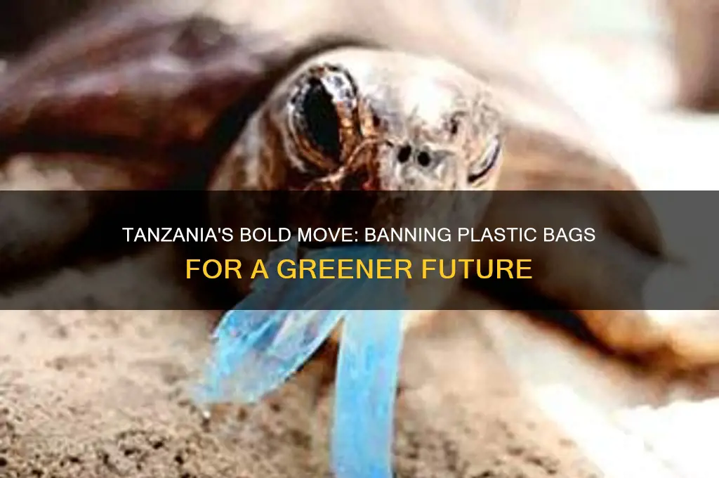 why tanzinia banned plastic bags