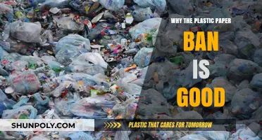 Plastic Bag Ban: A Necessary Step Forward
