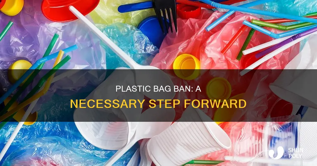 why the plastic paper ban is good
