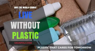 Plastic's Indispensable: A World Without Plastic is Unimaginable