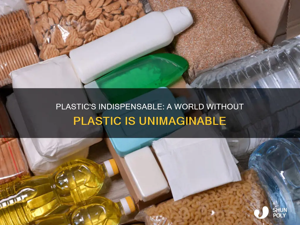 why the world cannot live without plastic