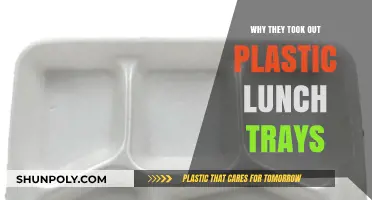 Schools Remove Plastic Lunch Trays: Health and Environmental Benefits